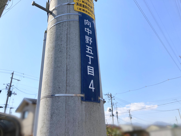 17886203426475