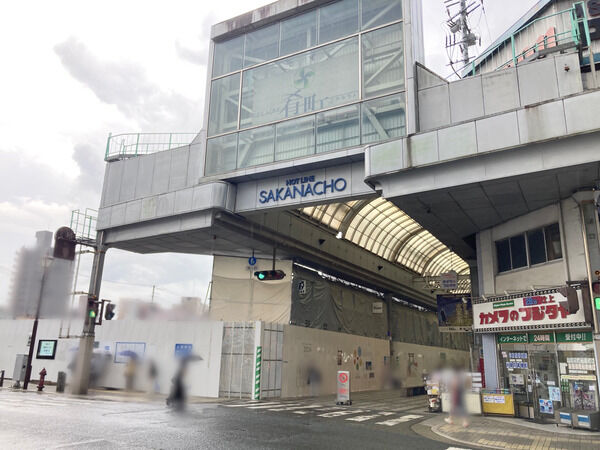 70435074-s