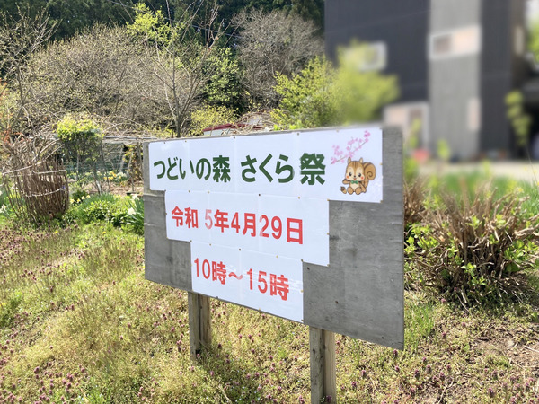 18042737784775