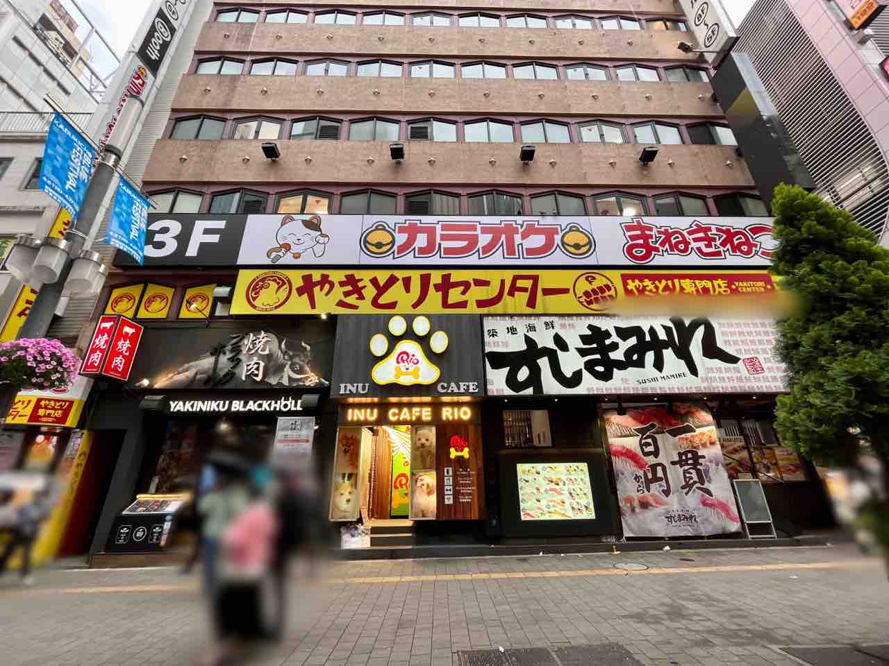 公の場での発言・インタビュー報道記録