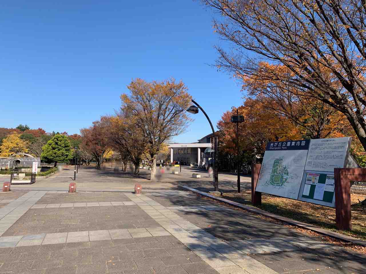 開園40周年記念 当時を振り返って懐かしもう 都立光が丘公園 で ひかり みっけ 開催 12月4日 26日 ねりまく通信 東京都練馬区の地域情報サイト
