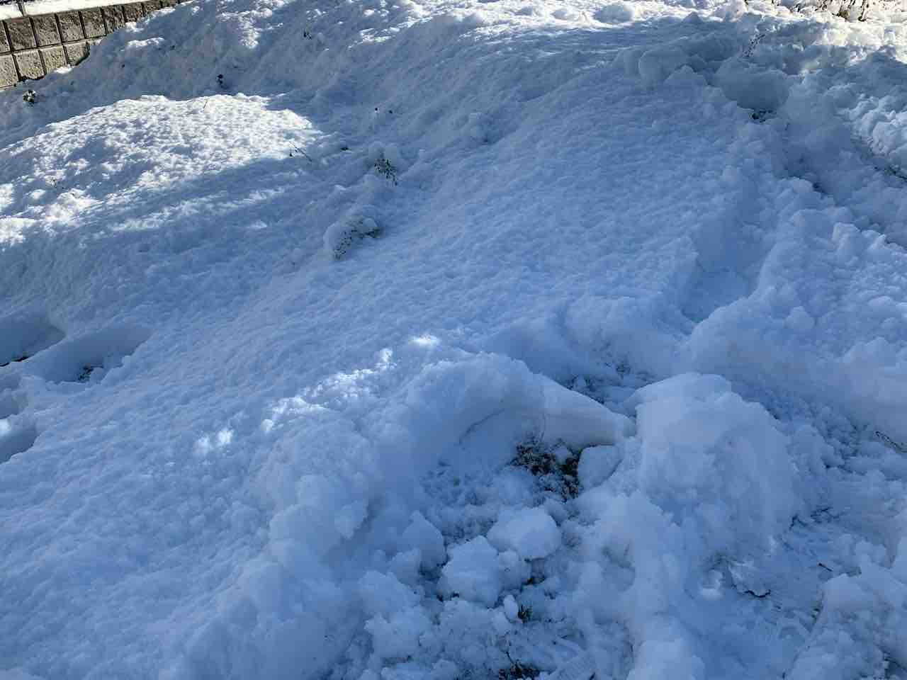 東京都23区に4年ぶりの大雪警報 練馬区内にも積雪が ネリ子録 22年1月7日撮影 ねりまく通信 東京都練馬区の地域情報サイト