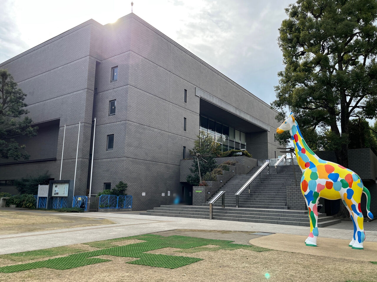 公の場での発言・インタビュー報道記録
