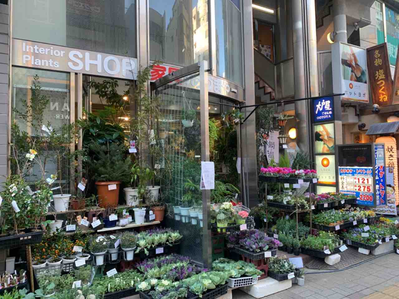 練馬にある家具と植物苗鉢のお店 あづまや家具店 が移転するらしい 移転先は同じく練馬 ねりまく通信 東京都練馬区の地域情報サイト