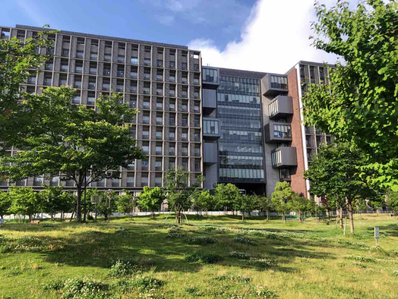 ふるさと葛飾盆まつり を盛り上げよう 盆踊りコンテスト も同時開催 ふるさと葛飾盆まつり22 の 練り歩き参加団体 募集中 6月17日まで かつしかく通信 東京都葛飾区の地域情報サイト