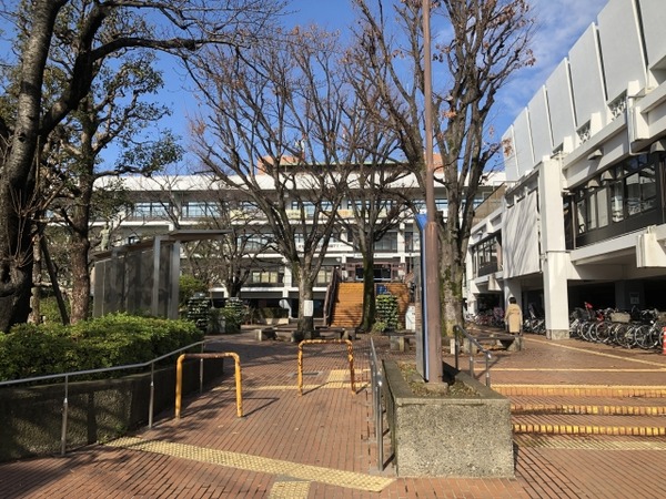 3041367_s