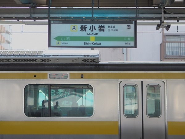 27204095_s