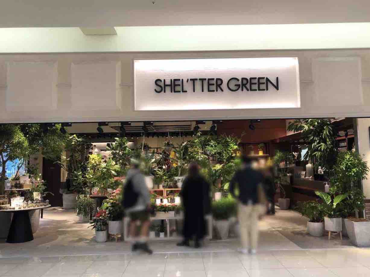 アリオ亀有 にガーデニング雑貨店 Shel Tter Green アリオ亀有店 シェルターグリーン がオープンしてる 元 上島珈琲店 アリオ亀有店 だったところ かつしかく通信 東京都葛飾区の地域情報サイト