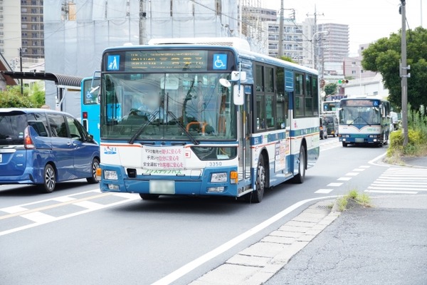 24597025_s