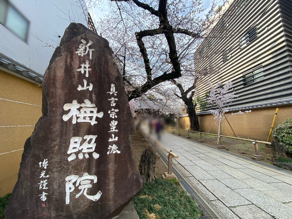 9585A4D0-72B5-44EE-BF15-8666169CDA12