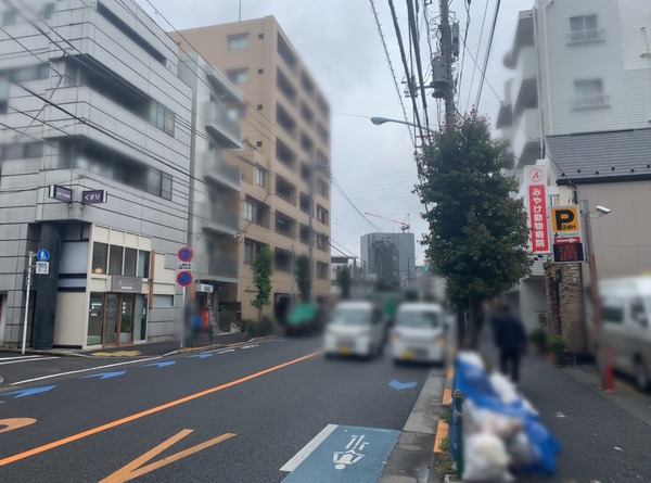 S__86261799
