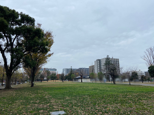 四季の森公園2