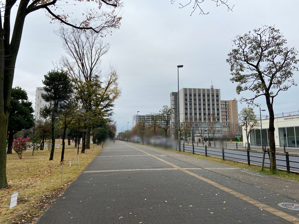 四季の森公園4