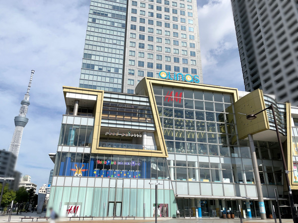 ノーマル秋IMG_9560