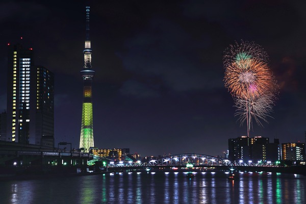 隅田川花火大会 市民協賛席 5名分 台東リバーサイドスポーツセンター ...