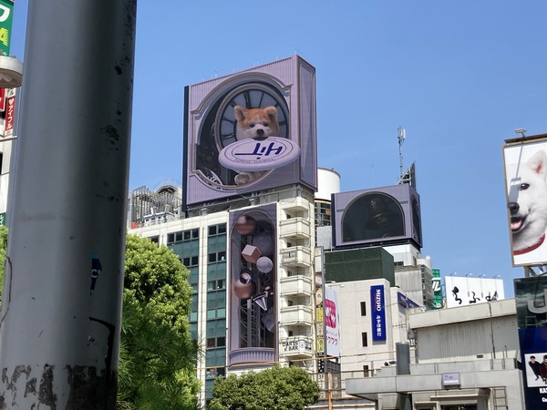 最後1