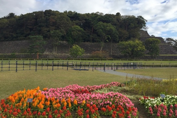 四季の花めぐりツアー