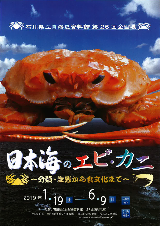 もっと日本海のエビとカニについて知ろう 石川県自然史資料館にて 日本海のエビ カニ 分類 生態から食文化まで が開催 1月19日 6月9日 金沢デイズ 石川県金沢市の地域情報サイト