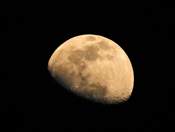 4561453_s