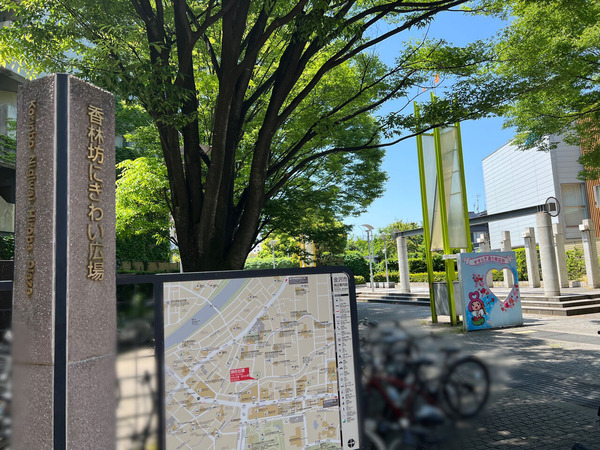 12eef529