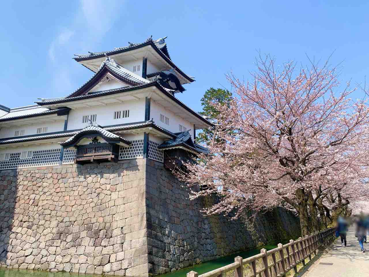いよいよ見頃 現在の桜の開花状況は 金沢城公園 兼六園 の桜見に行ってみた 4月7日撮影 金沢デイズ 石川県金沢市の地域情報サイト