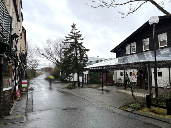 ぶどうの森マルシェ