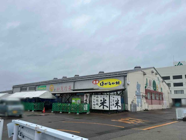 金沢スイカの試食会！『JA金沢市 ほがらか村』3店舗で『金沢すいかフェス』開催。7月11日、12日。