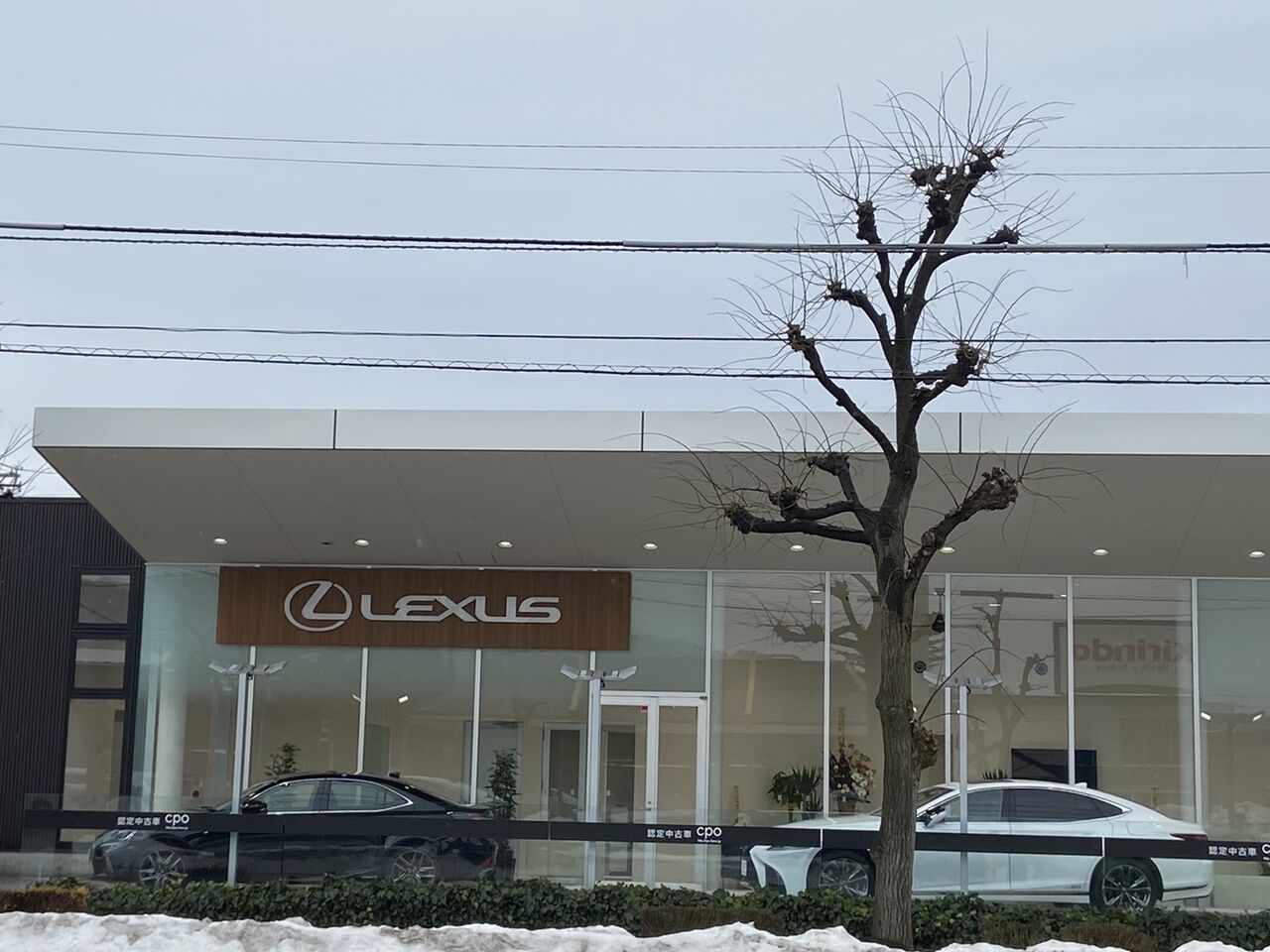 石川県初 レクサス認定中古車店 Lexus Cpo 金沢元町 レクサス がオープンしてる 金沢デイズ 石川県金沢市の地域情報サイト 石川県初 レクサス認定中古車店 Lexus Cpo 金沢元町 レクサス がオープンしてる 金沢デイズ 石川県金沢市の地域情報サイト