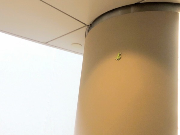 line_716587880962048~2