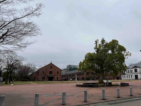 春ららら市