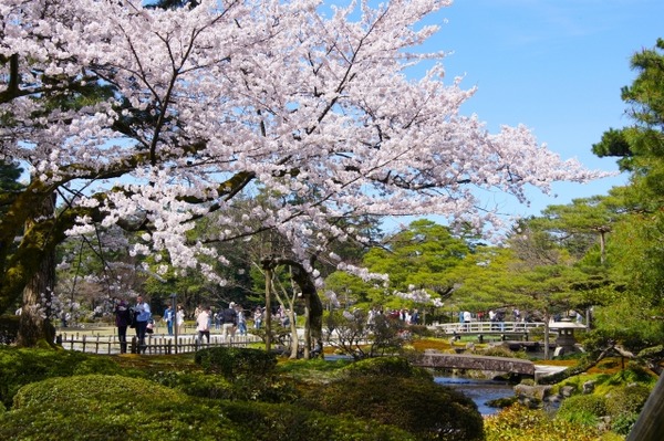兼六園