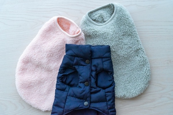 ワンまるプチ vol.11