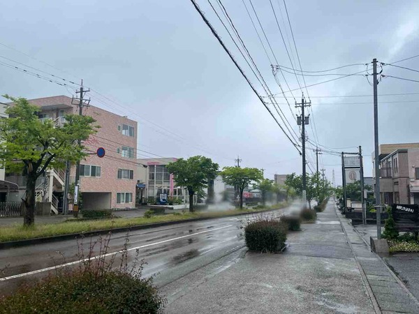 ラピド(Rapid)