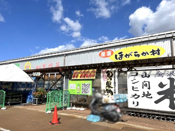 b6e787f5-s