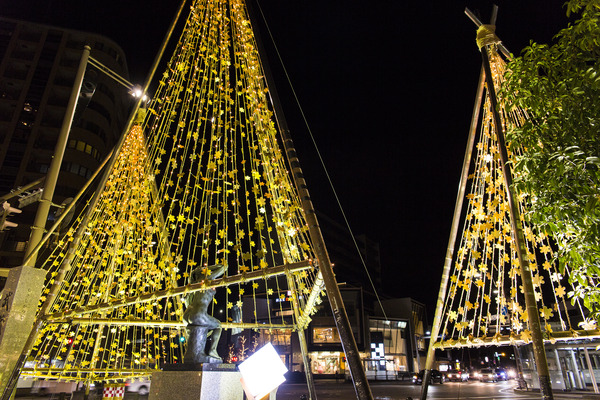 176_金箔雪吊り・イルミネーション(武蔵)1