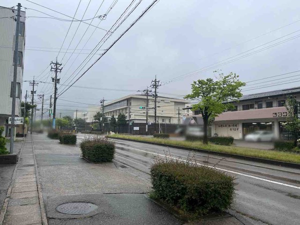 ラピド(Rapid)