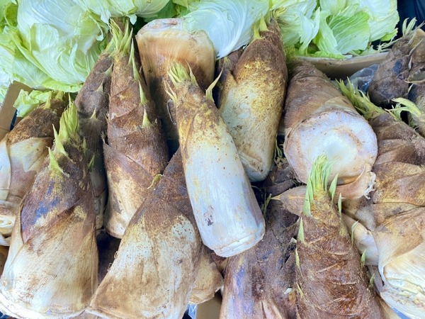 近江町市場 春まつり