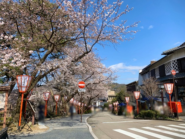 51812799.3889e18a78023ec4e04d11d72c47f6a6.20040103