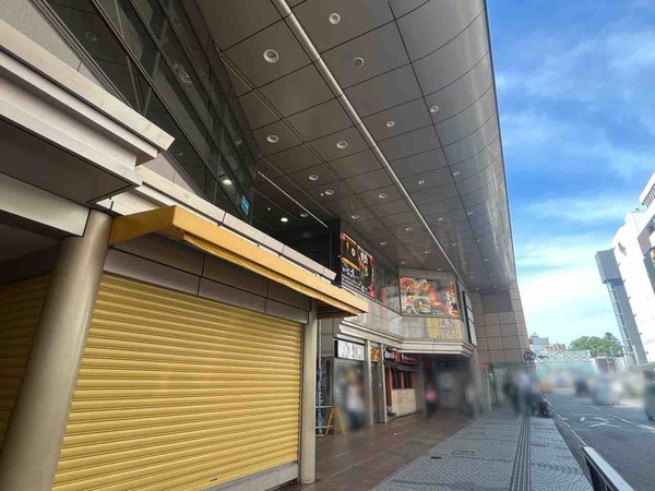 つばき