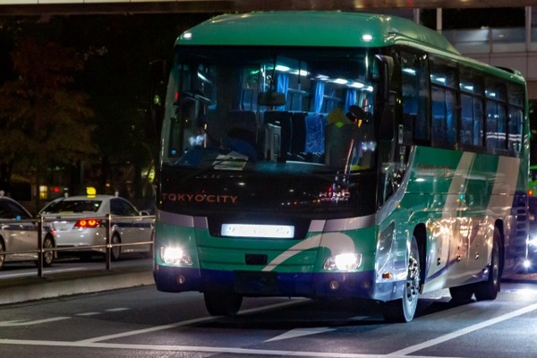 25203539_s