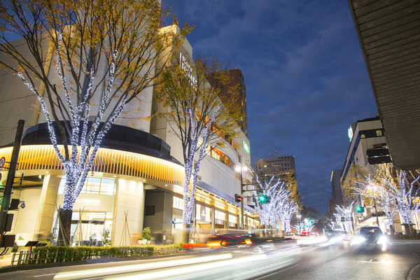 626_イルミネーション・ツリーファンタジー(香林坊)2