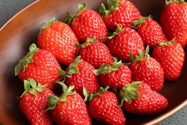 ぶどうの森マルシェ