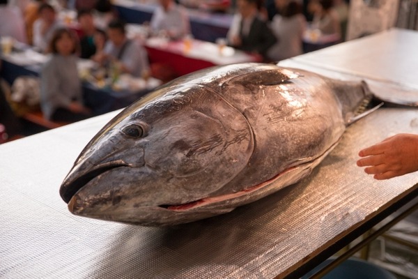 周年祭でイベント盛りだくさん！マグロの解体ショーも！『アル・プラザ金沢』で『お楽しみイベント』開催。5月16日、17日。