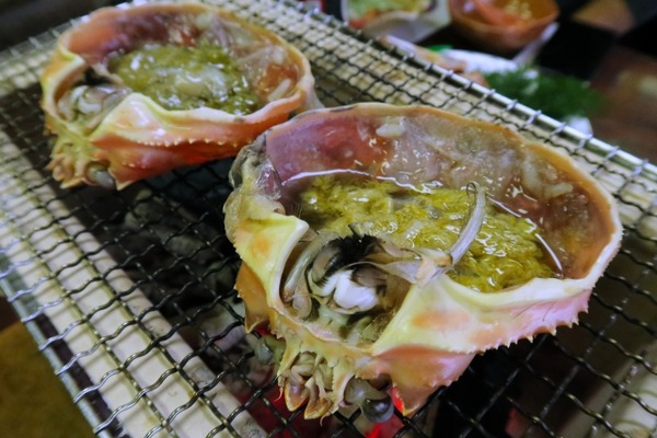 23140916_s