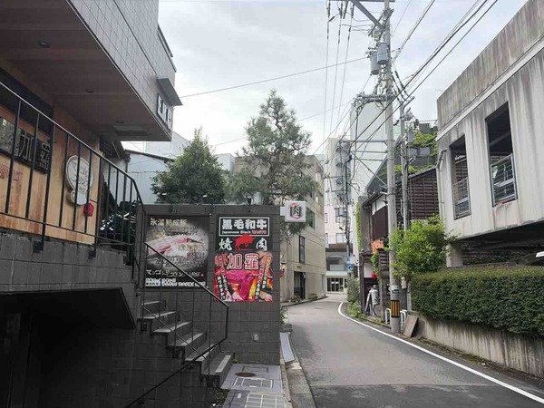 タコキタムラヤ