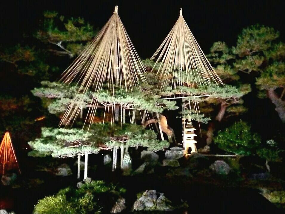 幻想的な空間に癒される 金沢城 兼六園四季物語 秋の段 ライトアップ に行ってきた 金沢デイズ 石川県金沢市の地域情報サイト 幻想的な空間に癒される 金沢城 兼六園四季物語 秋の段 ライトアップ に行ってきた 金沢デイズ 石川県金沢市の地域情報サイト