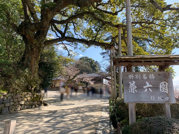 51812799.ac3f60935ee702699c000bcdf538bf7c.20040103 (1)