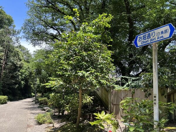 白鳥路ホタル観賞の夕べ