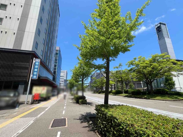 銀シャリ食堂