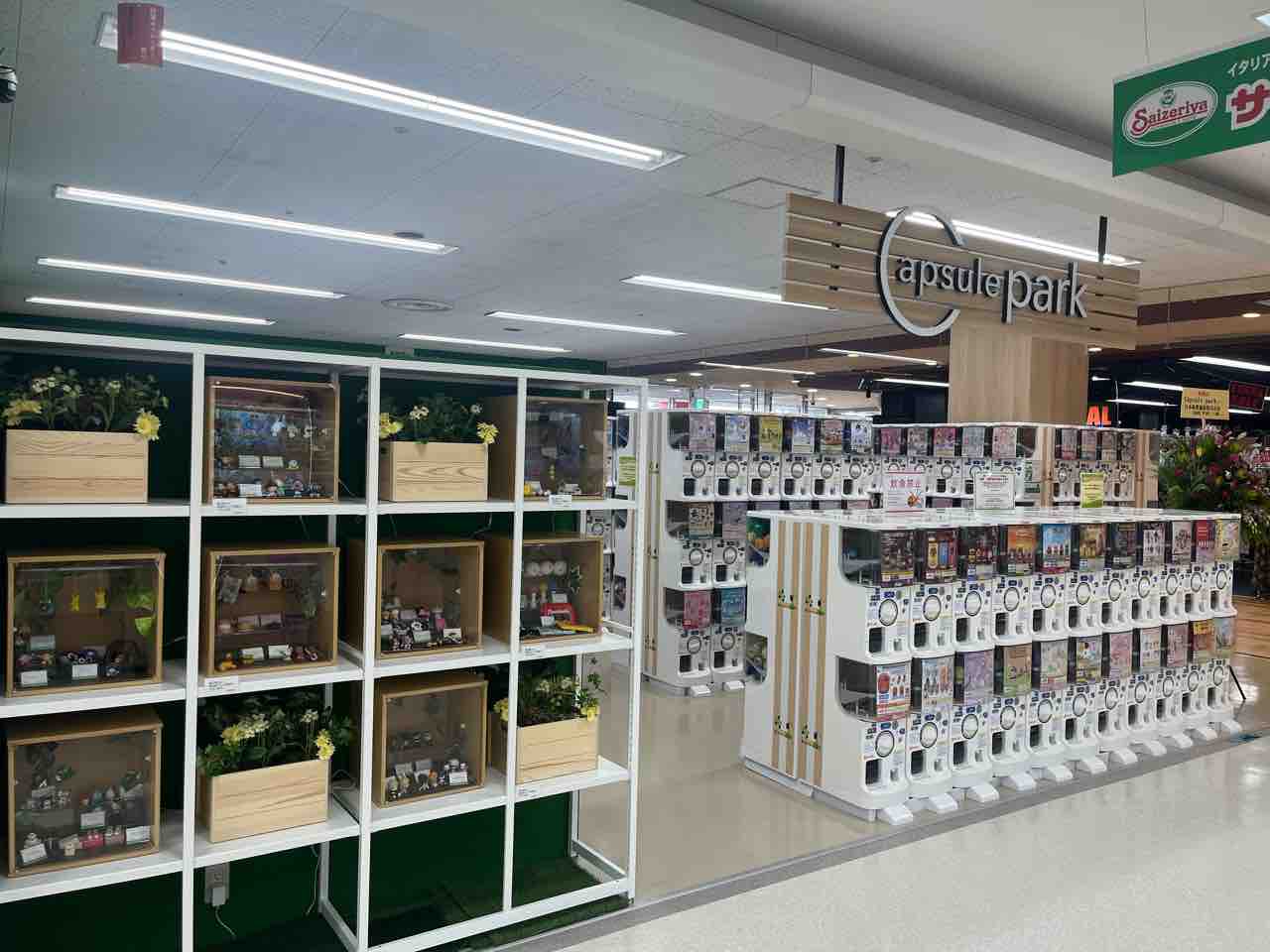 石川県金沢市西泉『MEGAドン・キホーテ ラパーク』内にカプセル